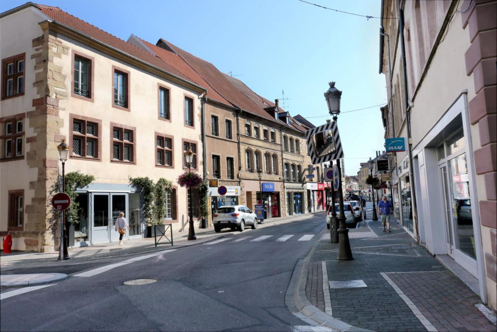 Petit Cocon Apartment Saint-Avold Exterior foto